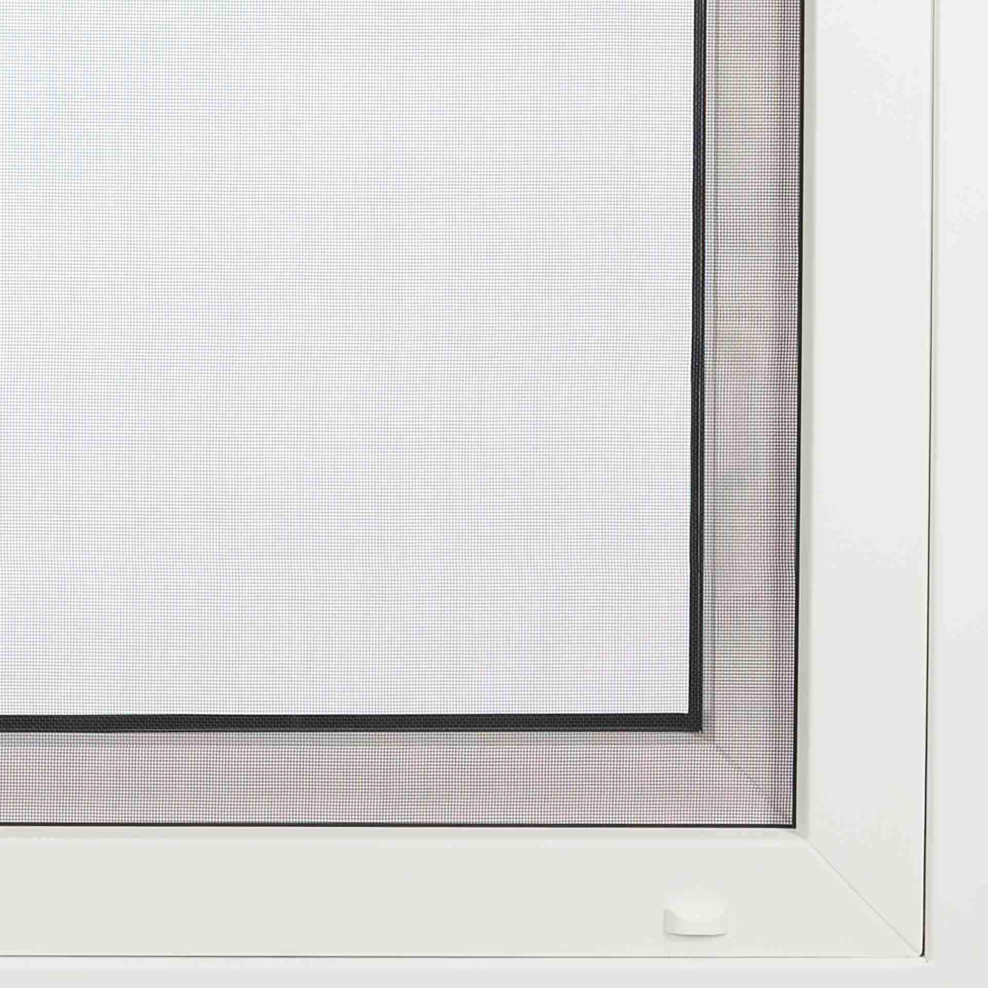 der WinClip wird an einem Fenster mit Haltern montiert gezeigt