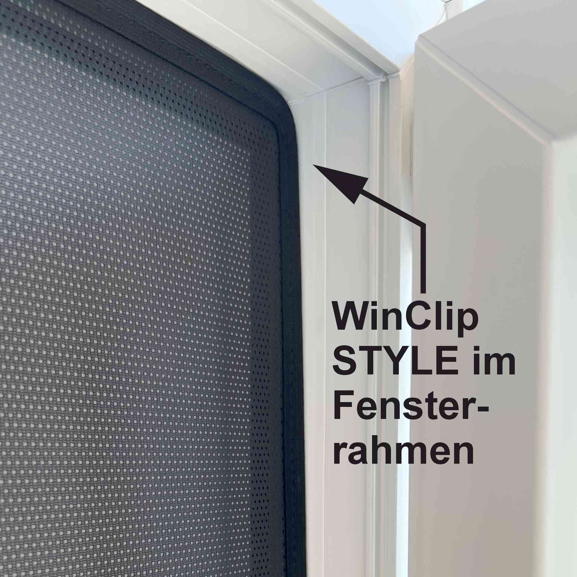 der WinClip Style liegt im Fensterrahmen